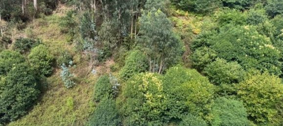 3 bedrooms Apartment in Asturias, Spain No. 173550 31