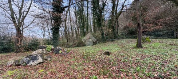 3 rooms Villa in Orte, Italy No. 170987 13