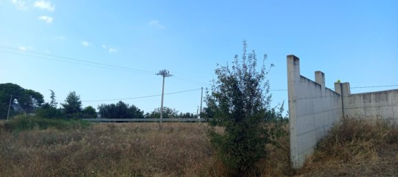 Склад 300м² в Ланчано, Италия № 317666 8