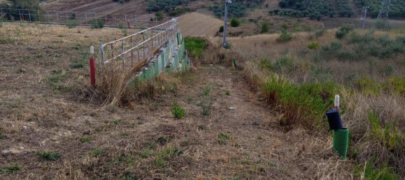 Склад 300м² в Ланчано, Италия № 317666 47