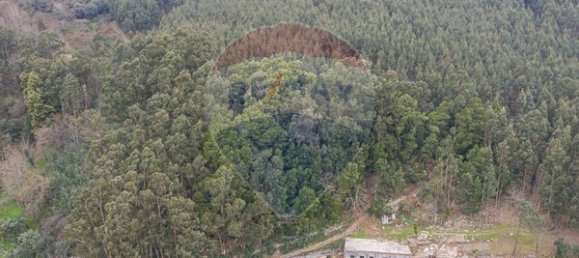 3700m² Land in Arcos de Valdevez, Portugal No. 62960 3