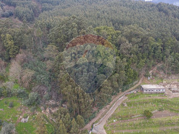 3700m² Land in Arcos de Valdevez, Portugal No. 62960