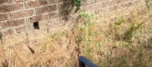 Villa de 5 habitaciónes en Monte Romano, Italy No. 147591 12