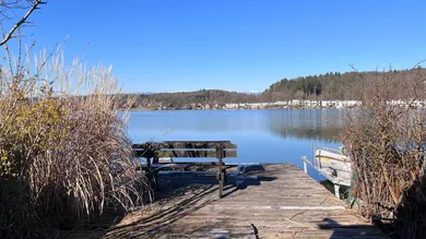 2 rooms Apartment in Leibnitz, Austria No. 136539