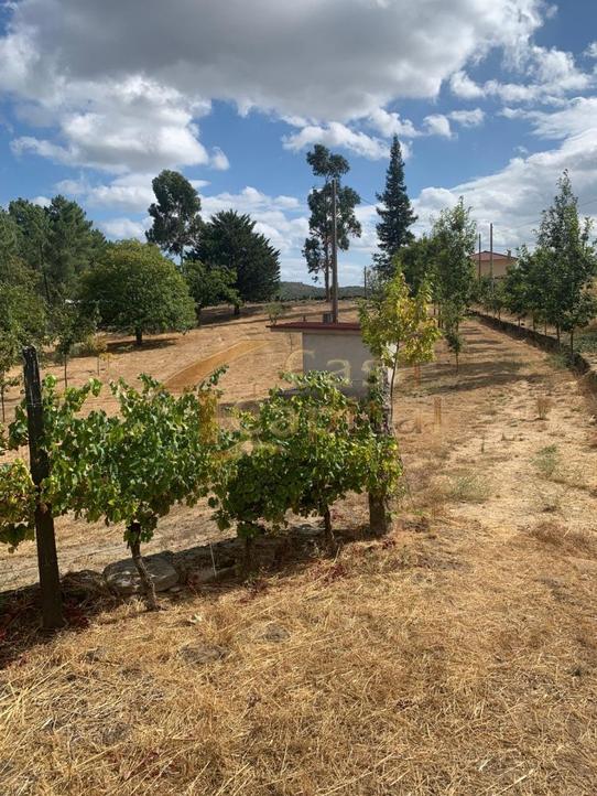 4700m² Land in Vila Real, Portugal No. 310647