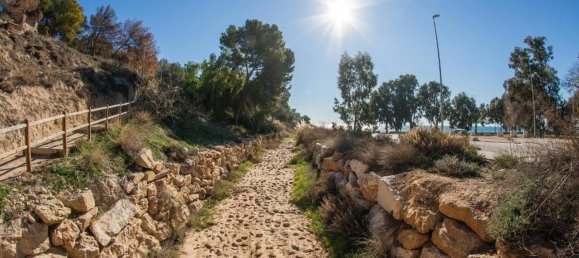 3 غرف نوم بانتهاوس في Benidorm, Spain رقم 2550 18