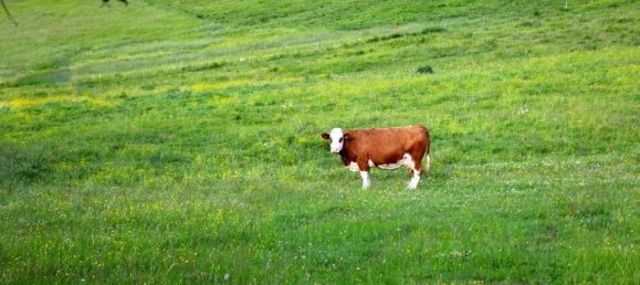 Moradia em banda de 4 divisões em Murau, Austria N.º 253254 22