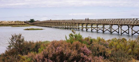 Grundstück in Quarteira, Portugal 1492m², Nr. 60900 12