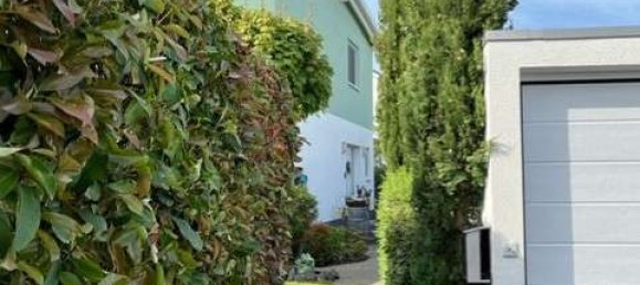 4 bedrooms House in Darmstadt-Dieburg, Germany No. 310761 22