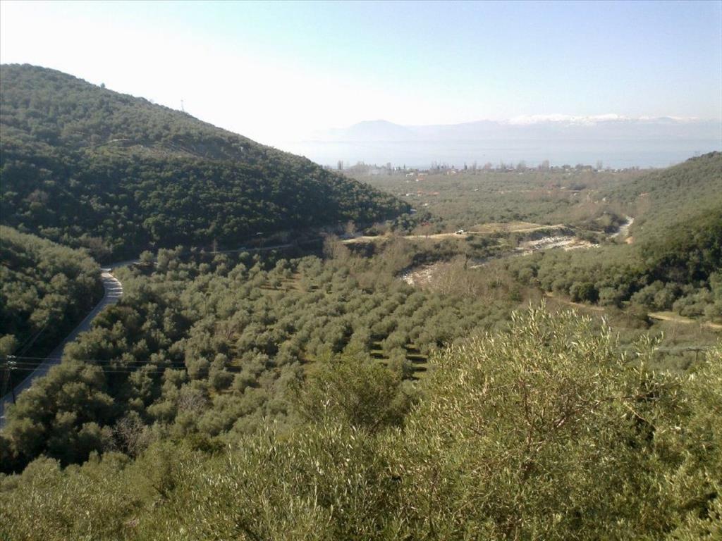  فندق في Volos, Greece 51000متر مربع رقم 6385