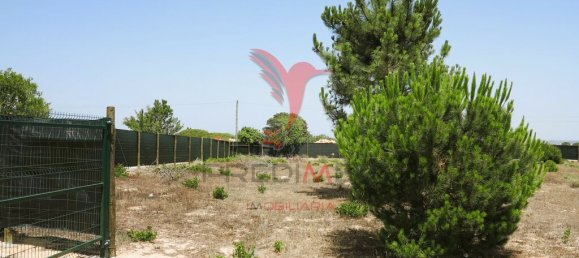 Terrain à Porches, Portugal 23940m² No. 66952 9