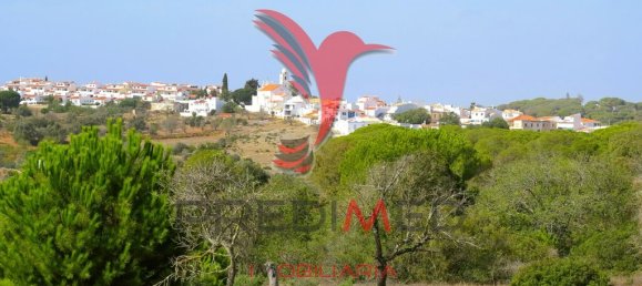 Terrain à Porches, Portugal 23940m² No. 66952 19