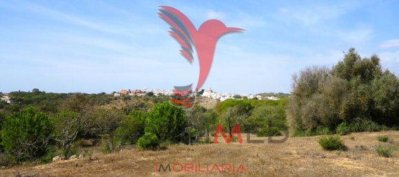 Terrain à Porches, Portugal 23940m² No. 66952 3