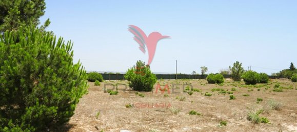 Terrain à Porches, Portugal 23940m² No. 66952 11