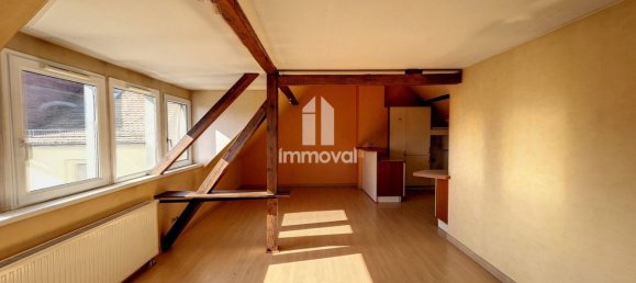 331m² Building in Schiltigheim, France No. 233050 2