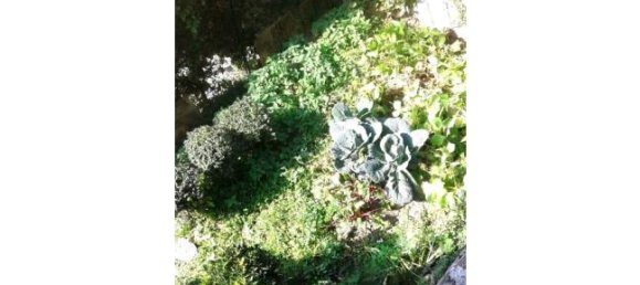 5 rooms Apartment in Premana, Italy No. 253040 11