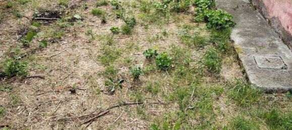 6-salle Maison à Cocquio-Trevisago, Italy No. 281403 10