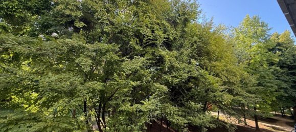 3 rooms Apartment in Mogliano Veneto, Italy No. 288209 10