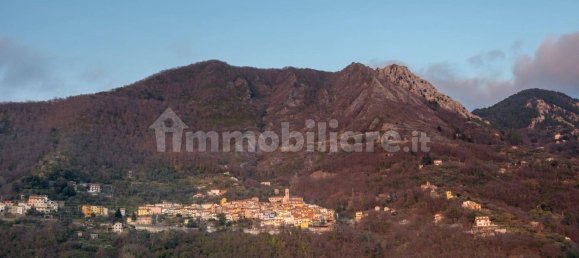 2 Schlafzimmer Haus in Massa, Italy, Nr. 62090 24