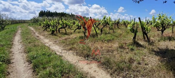 Grundstück in Moita dos Ferreiros, Portugal 3960m², Nr. 78239 2