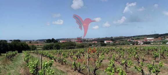 Grundstück in Moita dos Ferreiros, Portugal 3960m², Nr. 78239 16