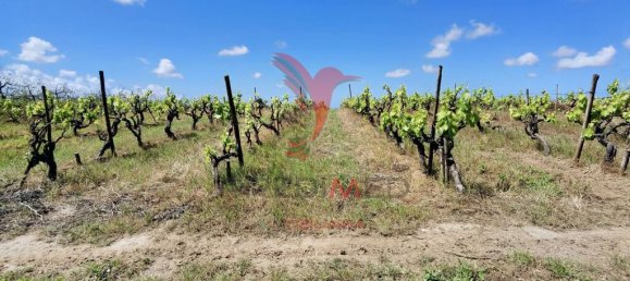 Grundstück in Moita dos Ferreiros, Portugal 3960m², Nr. 78239 5