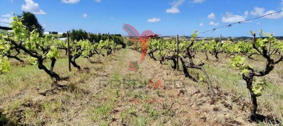 Grundstück in Moita dos Ferreiros, Portugal 3960m², Nr. 78239 8