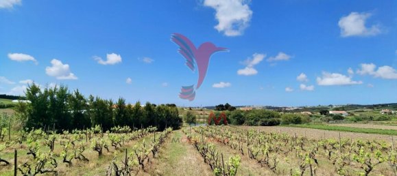 Grundstück in Moita dos Ferreiros, Portugal 3960m², Nr. 78239 9