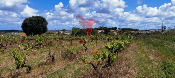 Grundstück in Moita dos Ferreiros, Portugal 3960m², Nr. 78239 15