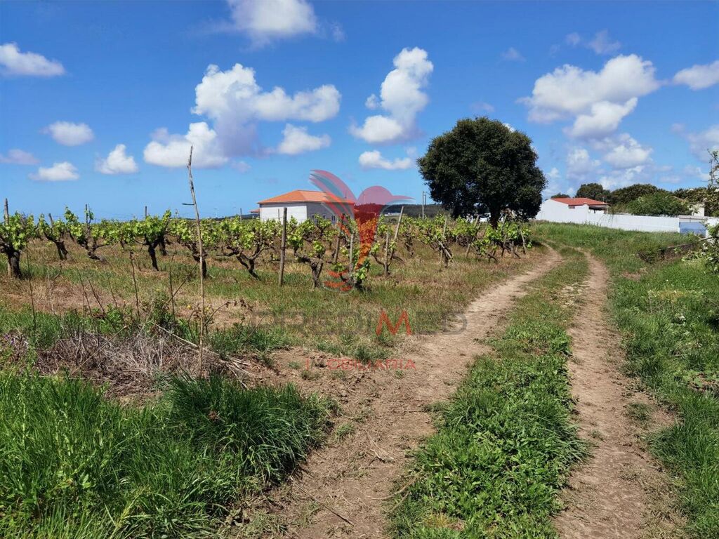 Grundstück in Moita dos Ferreiros, Portugal 3960m², Nr. 78239