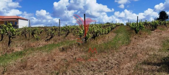 Grundstück in Moita dos Ferreiros, Portugal 3960m², Nr. 78239 12