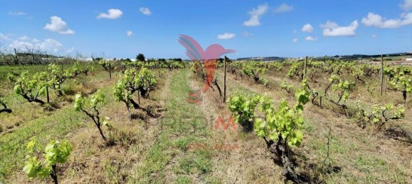 Grundstück in Moita dos Ferreiros, Portugal 3960m², Nr. 78239 6