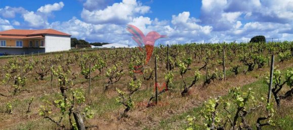 Grundstück in Moita dos Ferreiros, Portugal 3960m², Nr. 78239 13