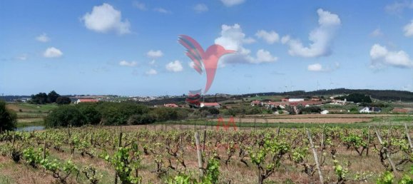 Grundstück in Moita dos Ferreiros, Portugal 3960m², Nr. 78239 14