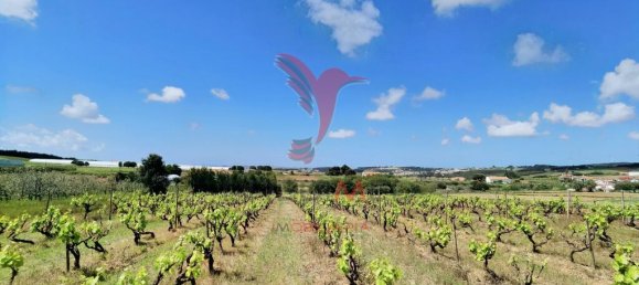 Grundstück in Moita dos Ferreiros, Portugal 3960m², Nr. 78239 7