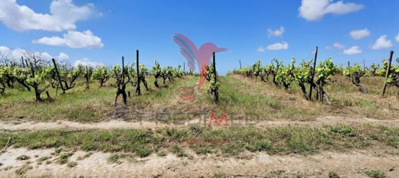 Grundstück in Moita dos Ferreiros, Portugal 3960m², Nr. 78239 3