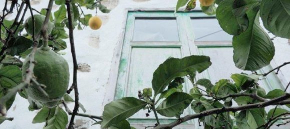 Grundstück in Icod de los Vinos, Spain, Nr. 89440 2