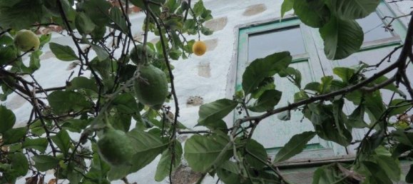 Grundstück in Icod de los Vinos, Spain, Nr. 89440 5