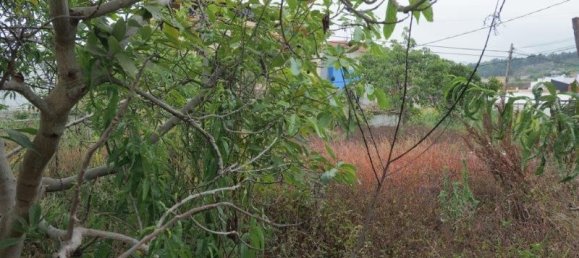 Grundstück in Icod de los Vinos, Spain, Nr. 89440 4