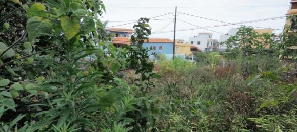 Grundstück in Icod de los Vinos, Spain, Nr. 89440 14