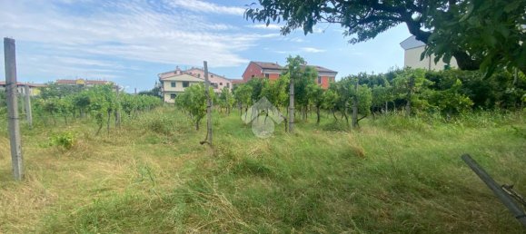 5-Zimmer Villa in Buttapietra, Italy, Nr. 143379 5
