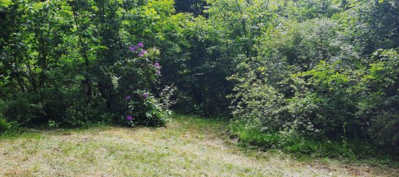  Land in Krems an der Donau, Austria No. 129698 2