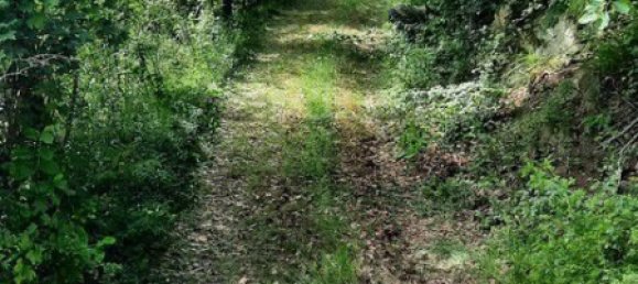  Land in Krems an der Donau, Austria No. 129698 9