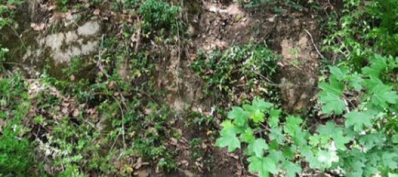  Land in Krems an der Donau, Austria No. 129698 7