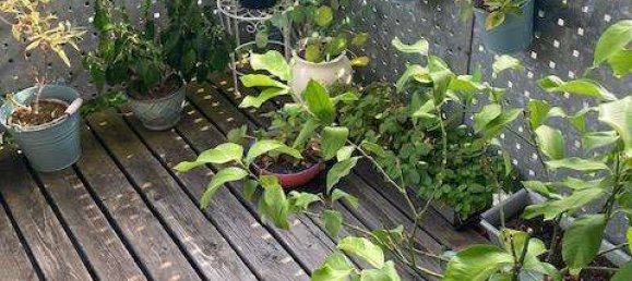 2غرفة شقة في Tubingen, Germany رقم 274893 5