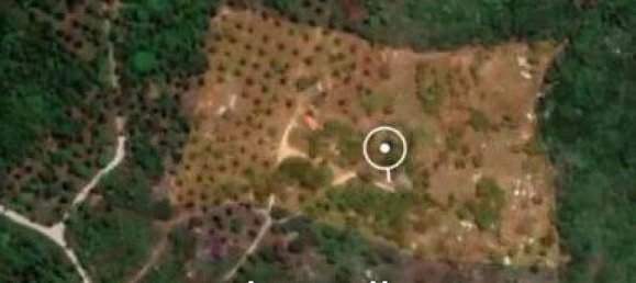 Gewerbliche Immobilie in Wiang Sa, Thailand, Nr. 14093 3