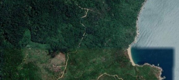 Gewerbliche Immobilie in Wiang Sa, Thailand, Nr. 14093 2