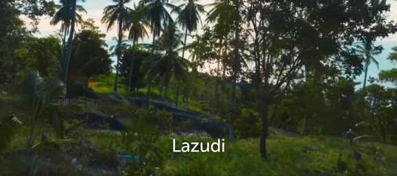 Gewerbliche Immobilie in Wiang Sa, Thailand, Nr. 14093 4