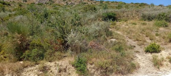  قطعة أرض في Zakynthos, Greece رقم 511 10