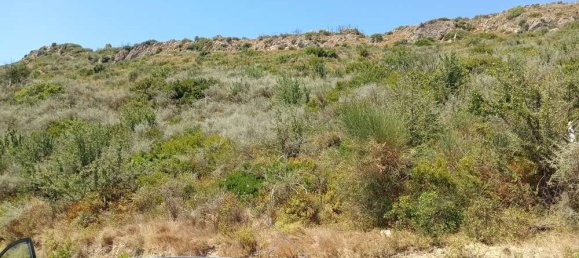  Hotel in Zakynthos, Greece No. 511 12